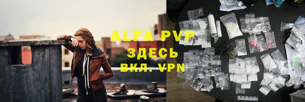 2c-b Инта
