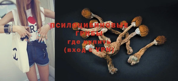 трава Инсар