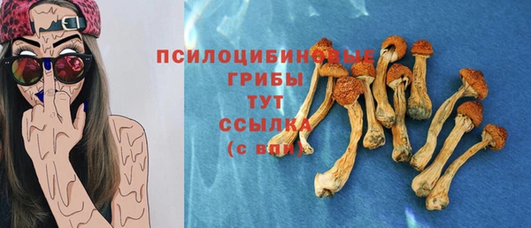 прущая мука Иннополис