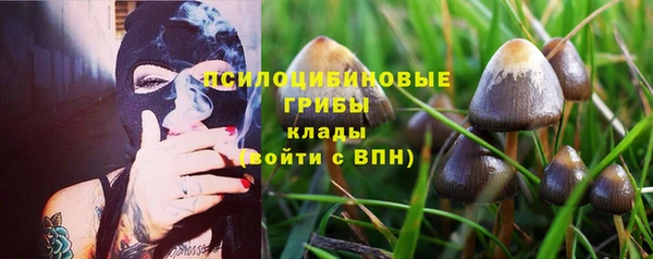 трава Инсар