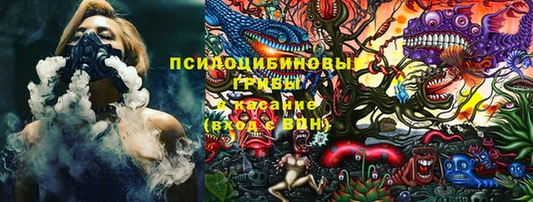 прущая мука Иннополис
