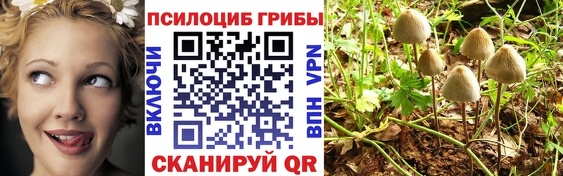 Галлюциногенные грибы ЛСД  блэк спрут как зайти  Железногорск  где купить наркоту 